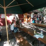 phoca_thumb_m_pohdkov les 233 Fotogalerie
